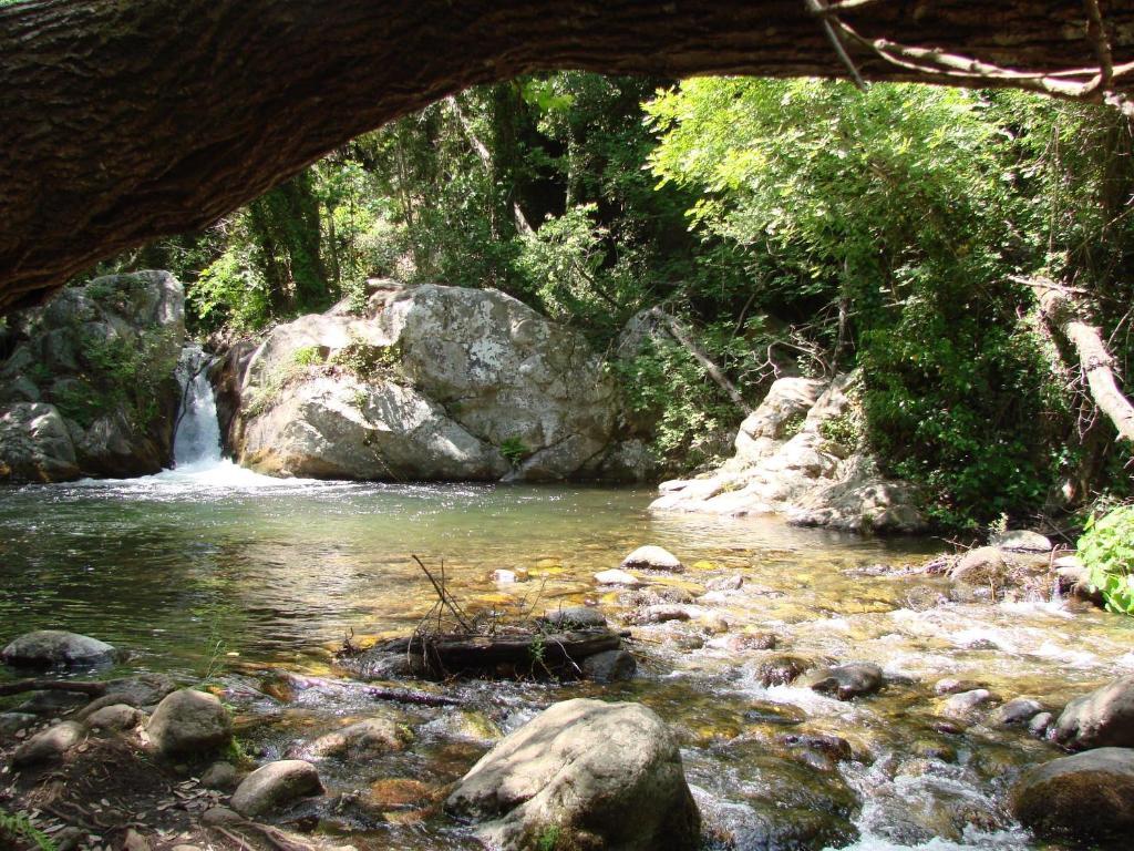Agriturismo Torre Del Golfo Cropani Kültér fotó
